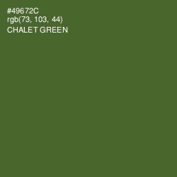 #49672C - Chalet Green Color Image